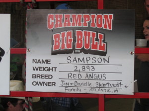champion big bull, Iowa State Fair