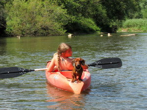 kayaking, dog, Upper Iowa River