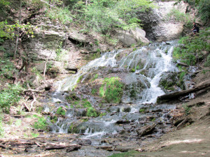 waterfall, Dunning Springs