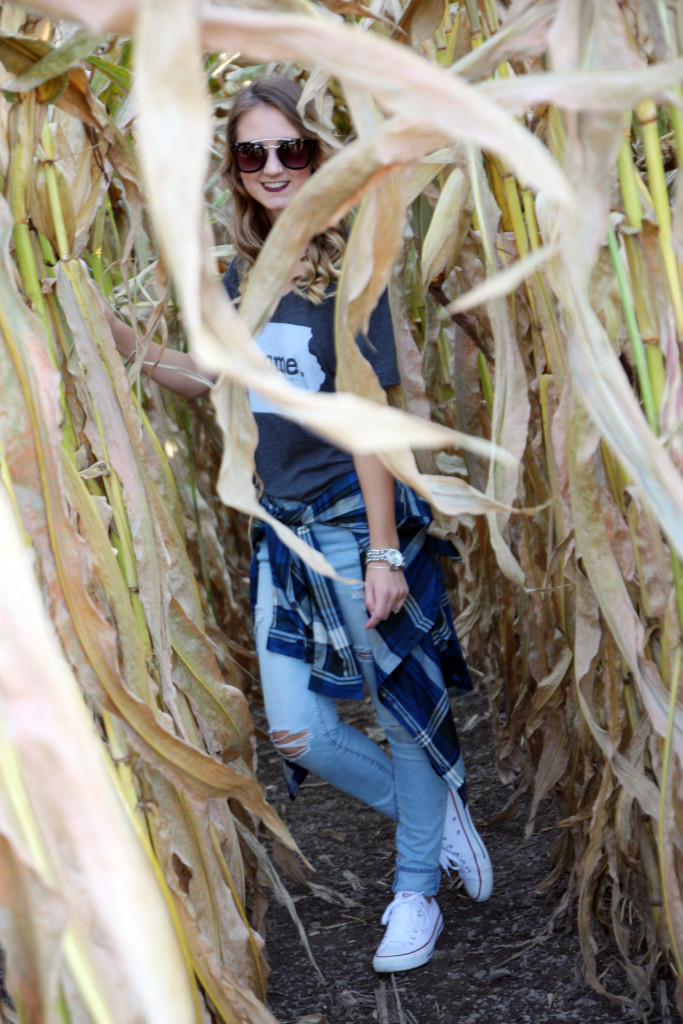 corn, fall, plaid, Iowa, The Home T