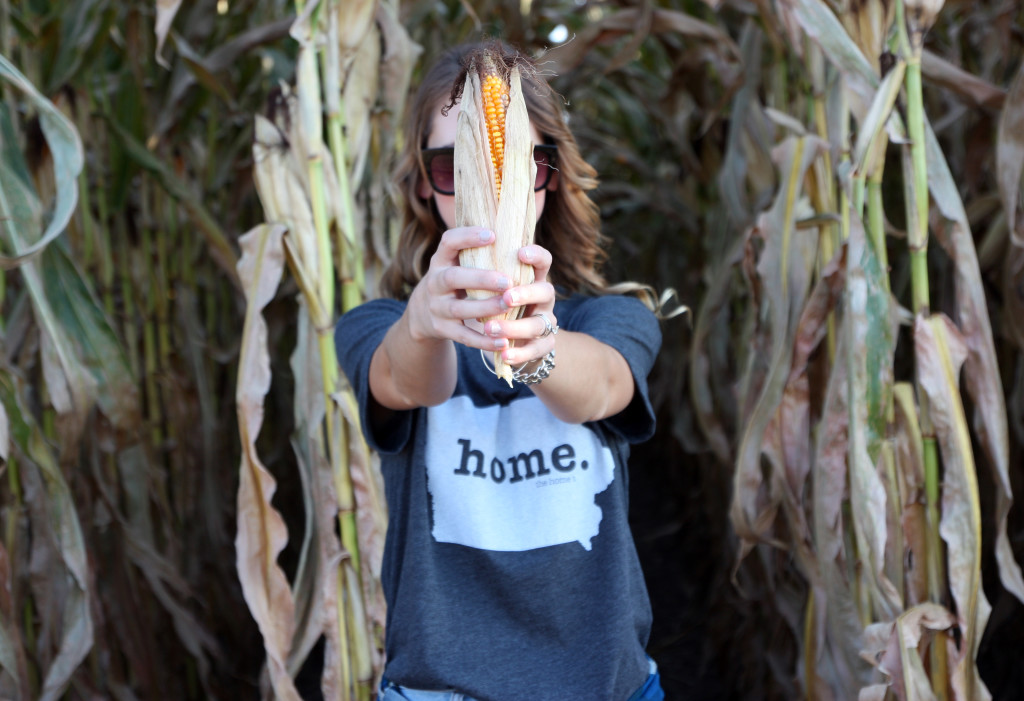 corn, home, Iowa, The Home T