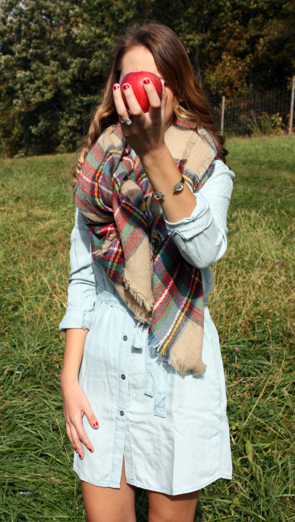 Luxe Statements, plaid blanket scarf