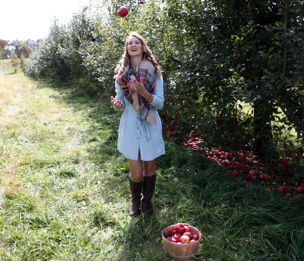 apple orchard, blanket scarf, chambray dress