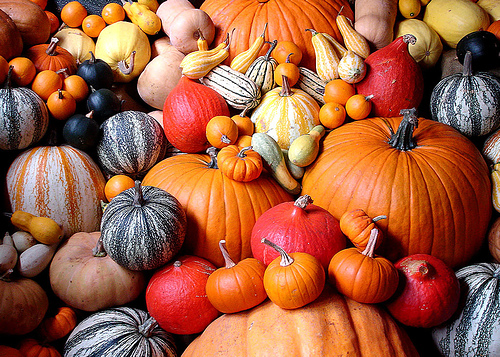 pumpkins, gourds, fall