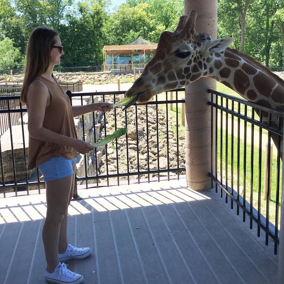 Niabi Zoo, Coal Valley, Illinois, giraffe, feeding giraffes, my favorite animal, zoo