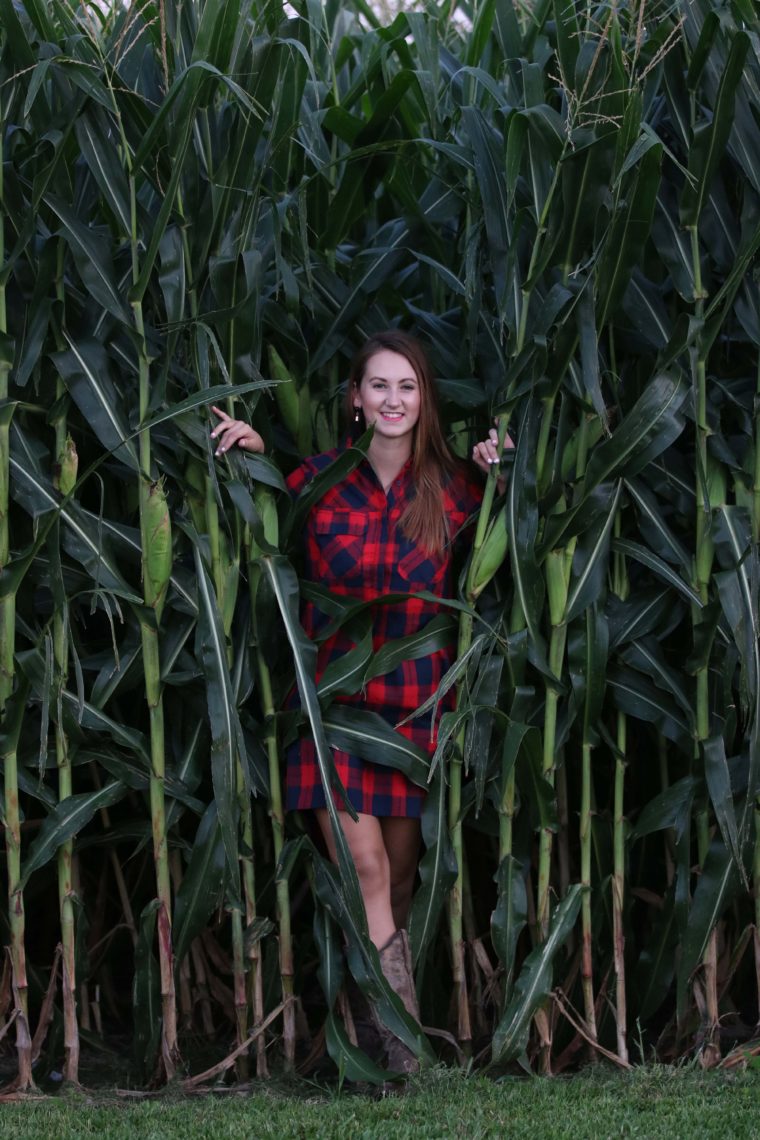 corn, Iowa, Iowa girl, gingham dress