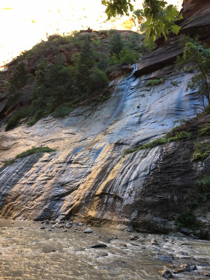 stream, cliff, Zion National Park, Utah