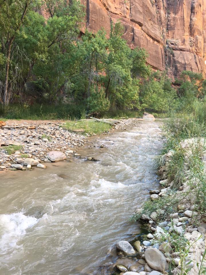 stream, Zion National Park, The Temple of Sinawava Trail, Virgin River, Utah