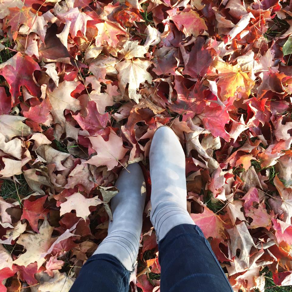 grey booties, Steve Madden booties, fall, red leaves