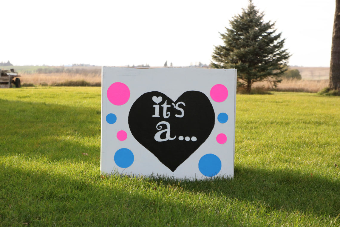 it's a, balloon reveal, gender reveal, gender reveal party, gender party, pink or blue, balloons, box of balloons