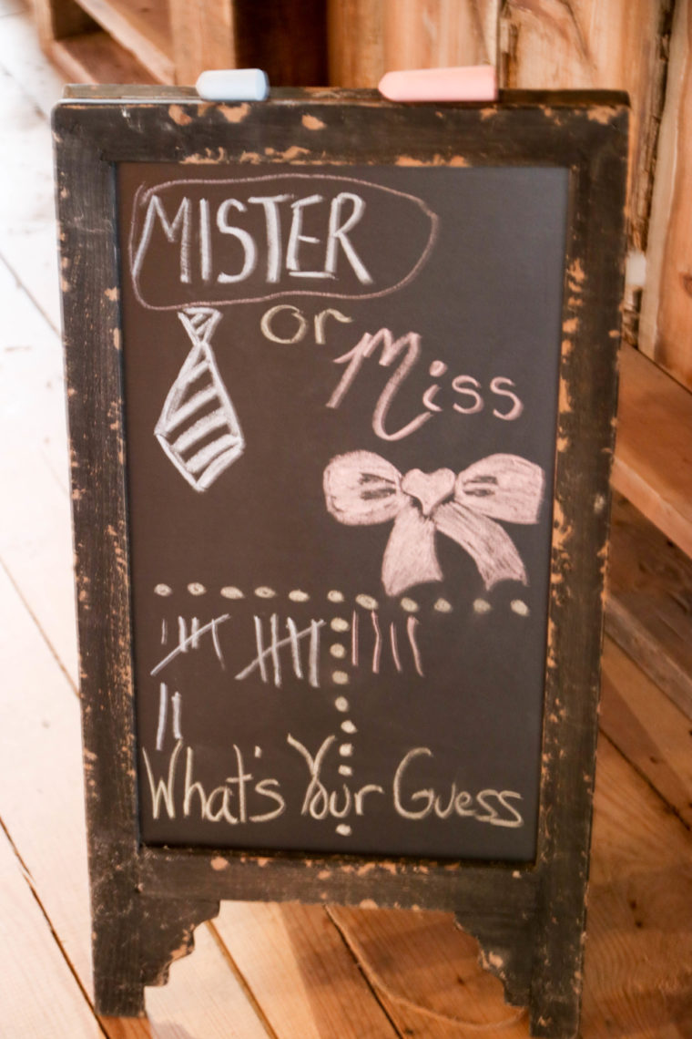 mister or miss, gender reveal, gender party, gender reveal party, boy or girl, pink or blue, it's a boy