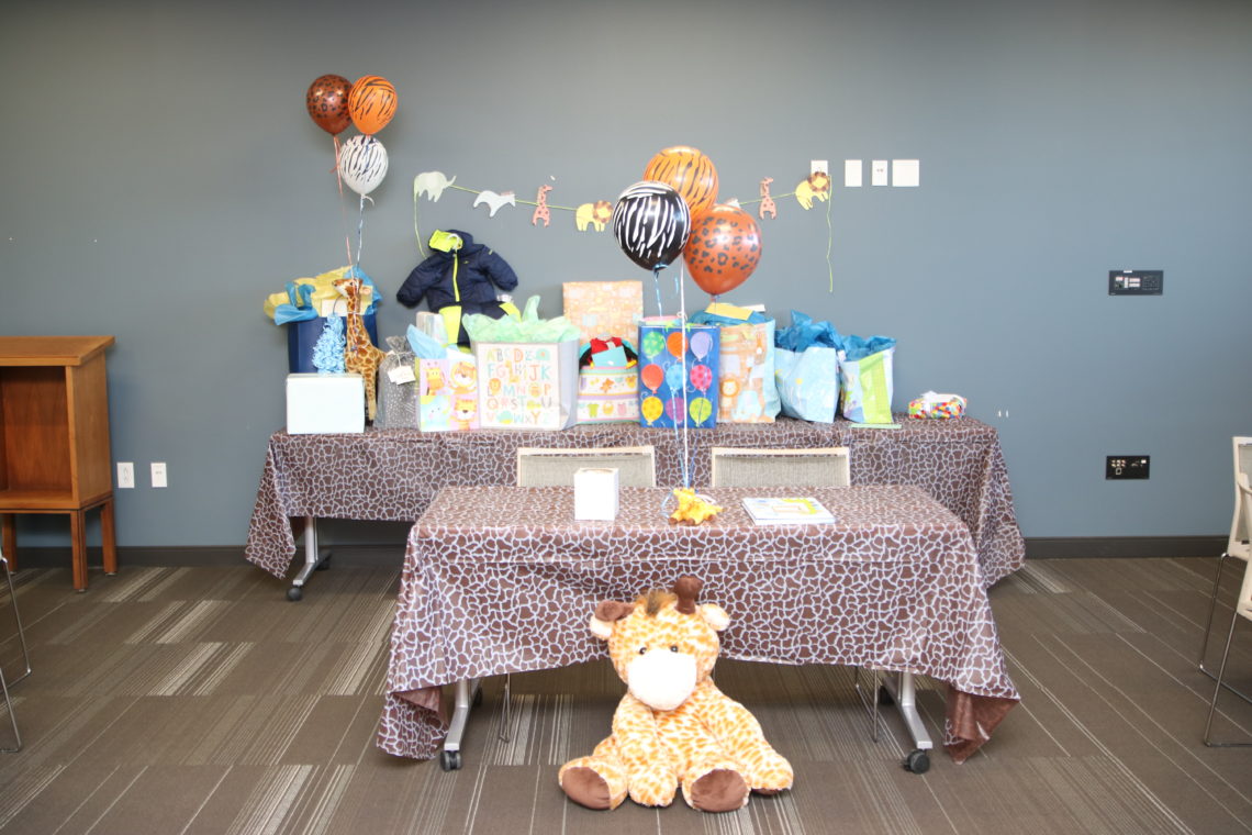 baby shower, safari baby shower