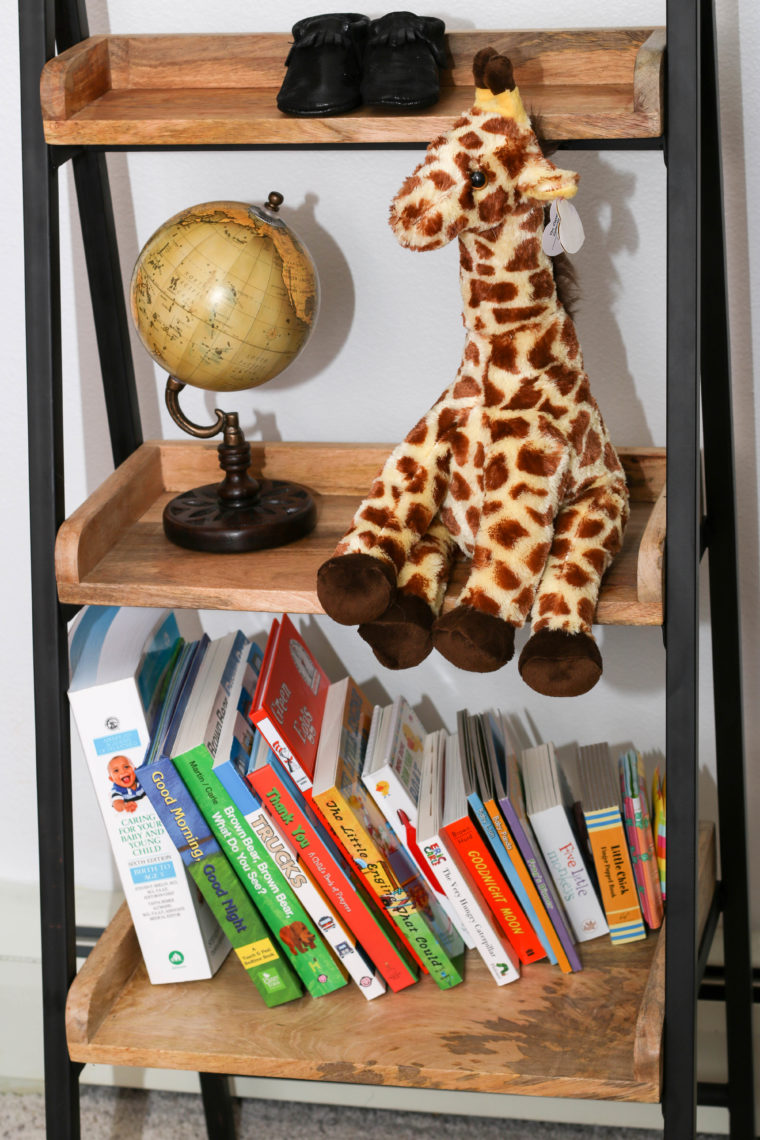for the love of glitter, bookshelf. giraffe, globe