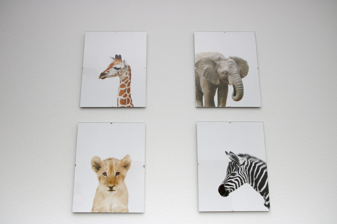 for the love of glitter, safari prints, safari nursery 