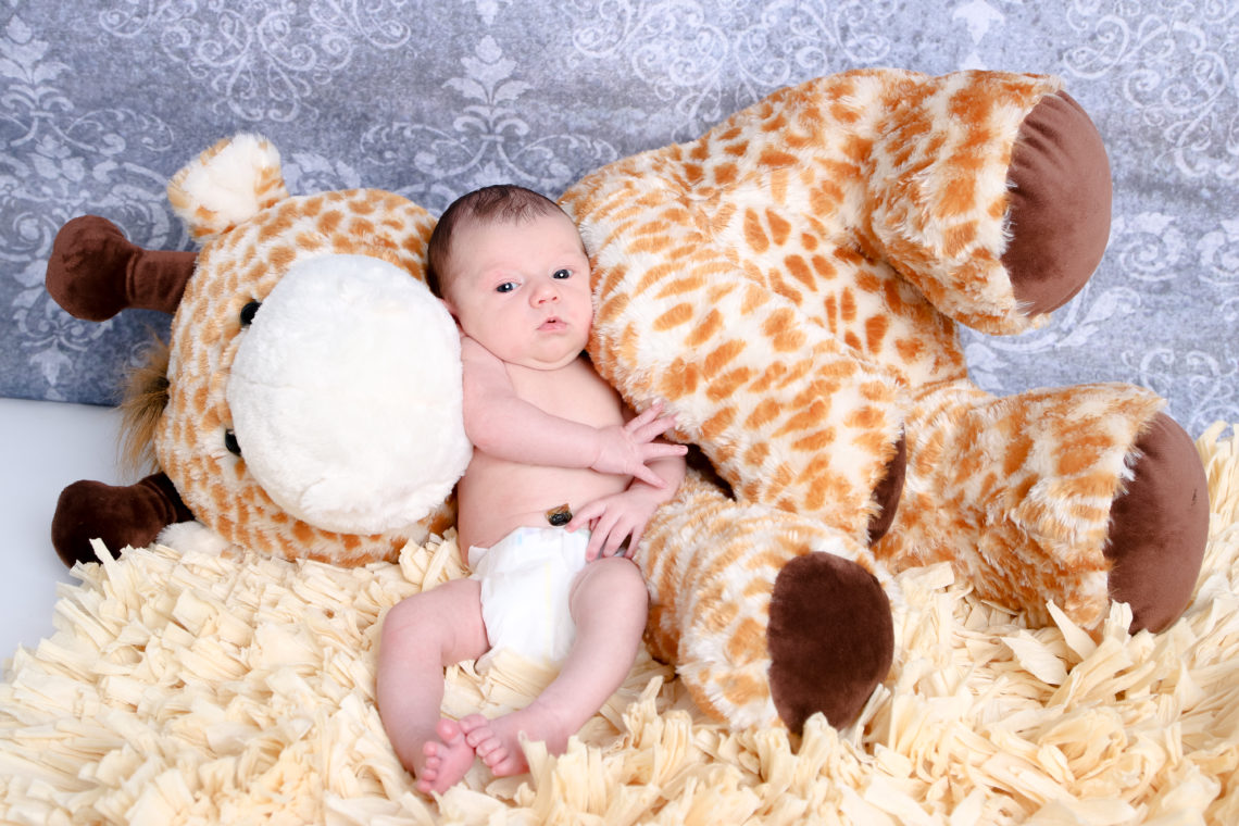 for the love of glitter, newborn photos, baby boy newborn photos, giraffe