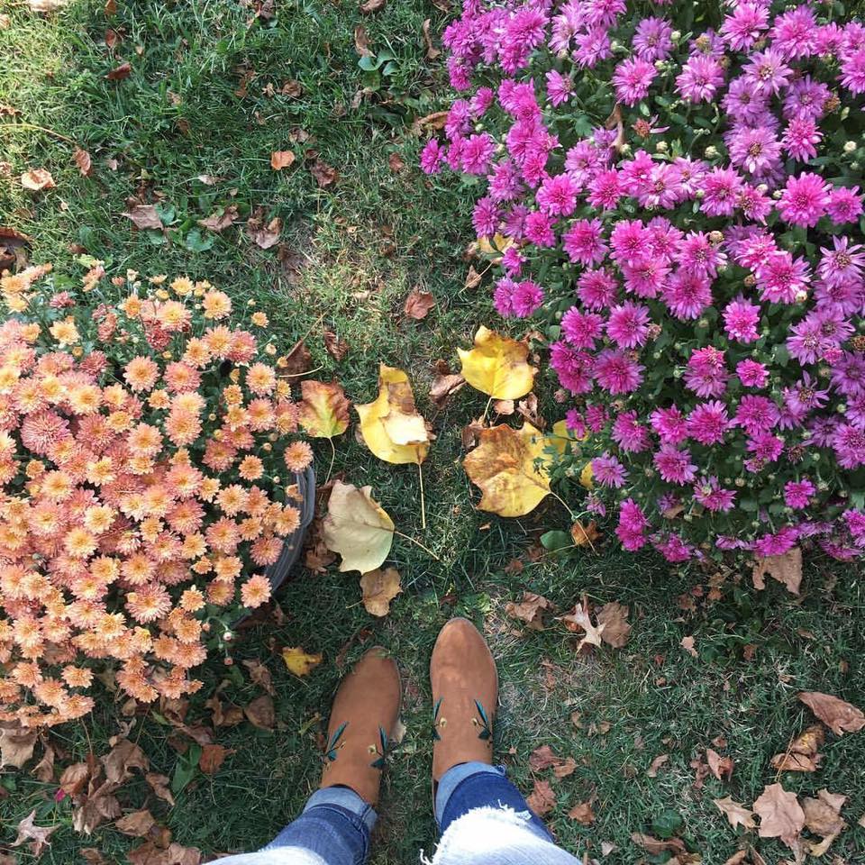 for the love of glitter, first day of fall, embroidered booties, mum flowers
