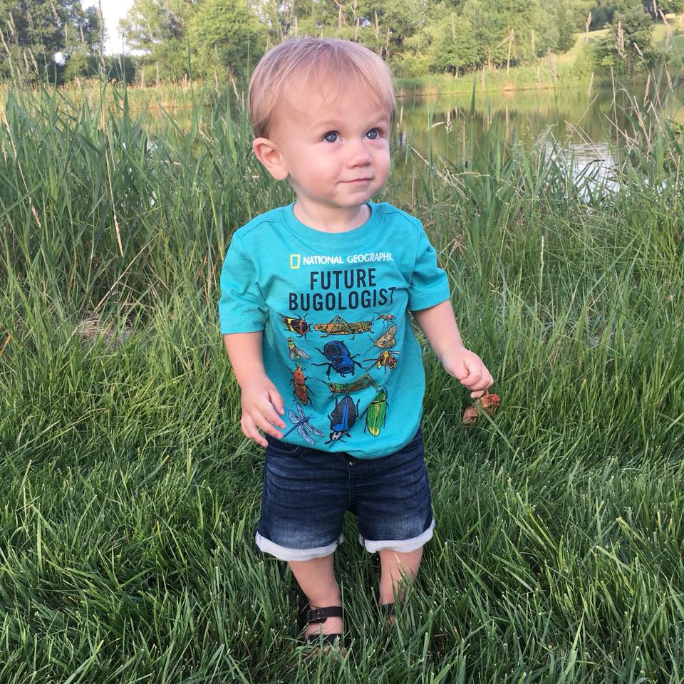 bug shirt, toddler boy style, summer style
