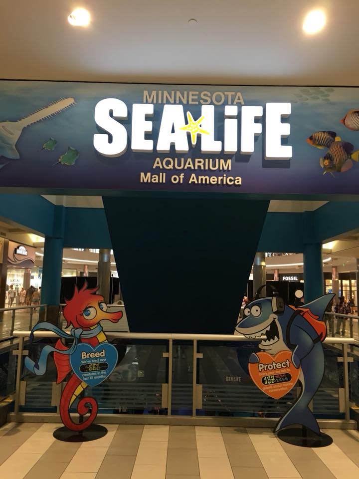 Sea Life Aquarium, Mall of America 