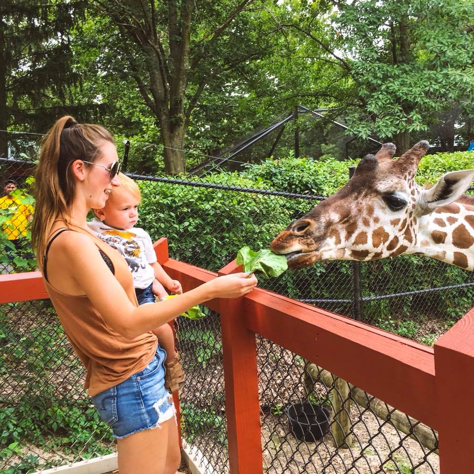 Blank Park Zoo, feeding giraffes, Des Moines, Iowa