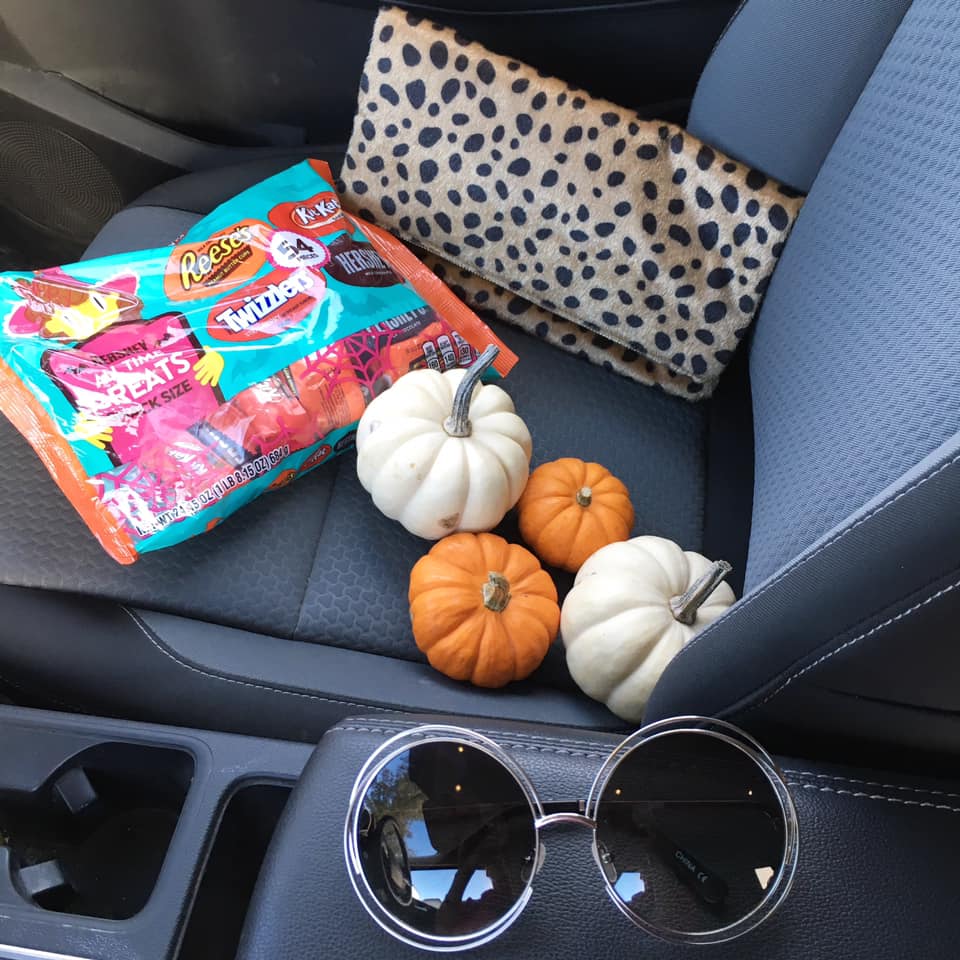 mini pumpkins, leopard clutch, Halloween candy