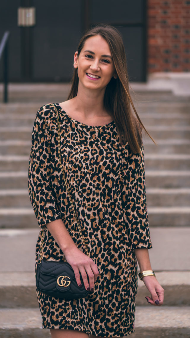leopard dress, Gucci bag, fall style
