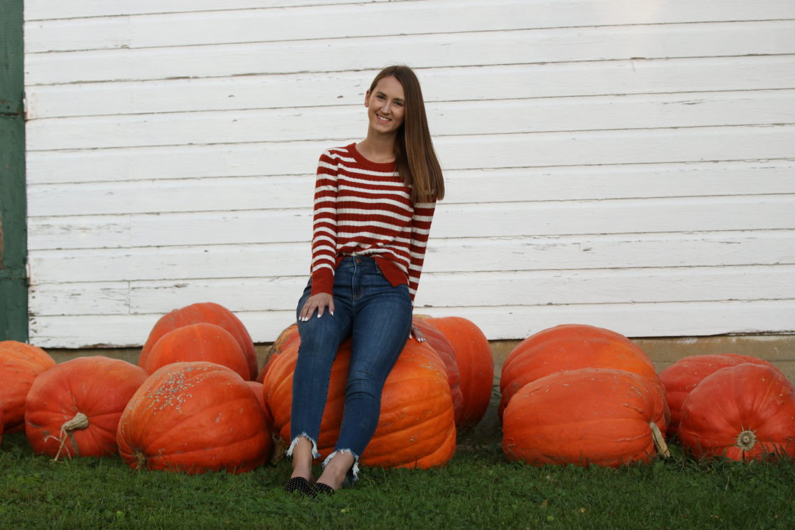 crew neck sweater, rust sweater, big orange pumpkins