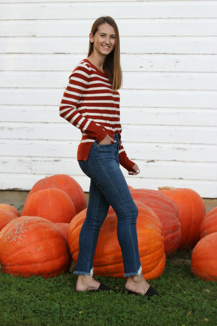 crew neck sweater, orange sweater, fall style, big pumpkins