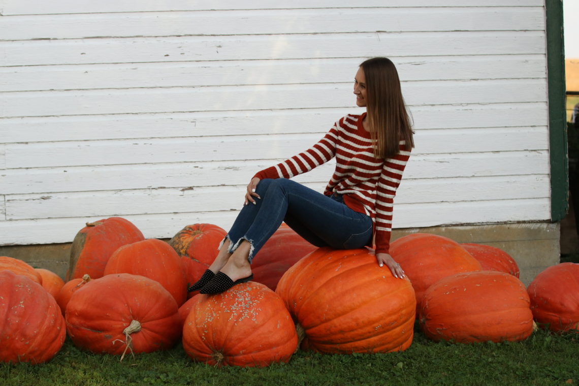 big orange pumpkins, fall style, crew neck sweater
