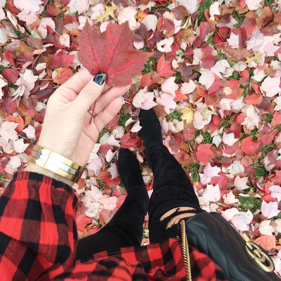 red leaves, fall style, Gucci bag