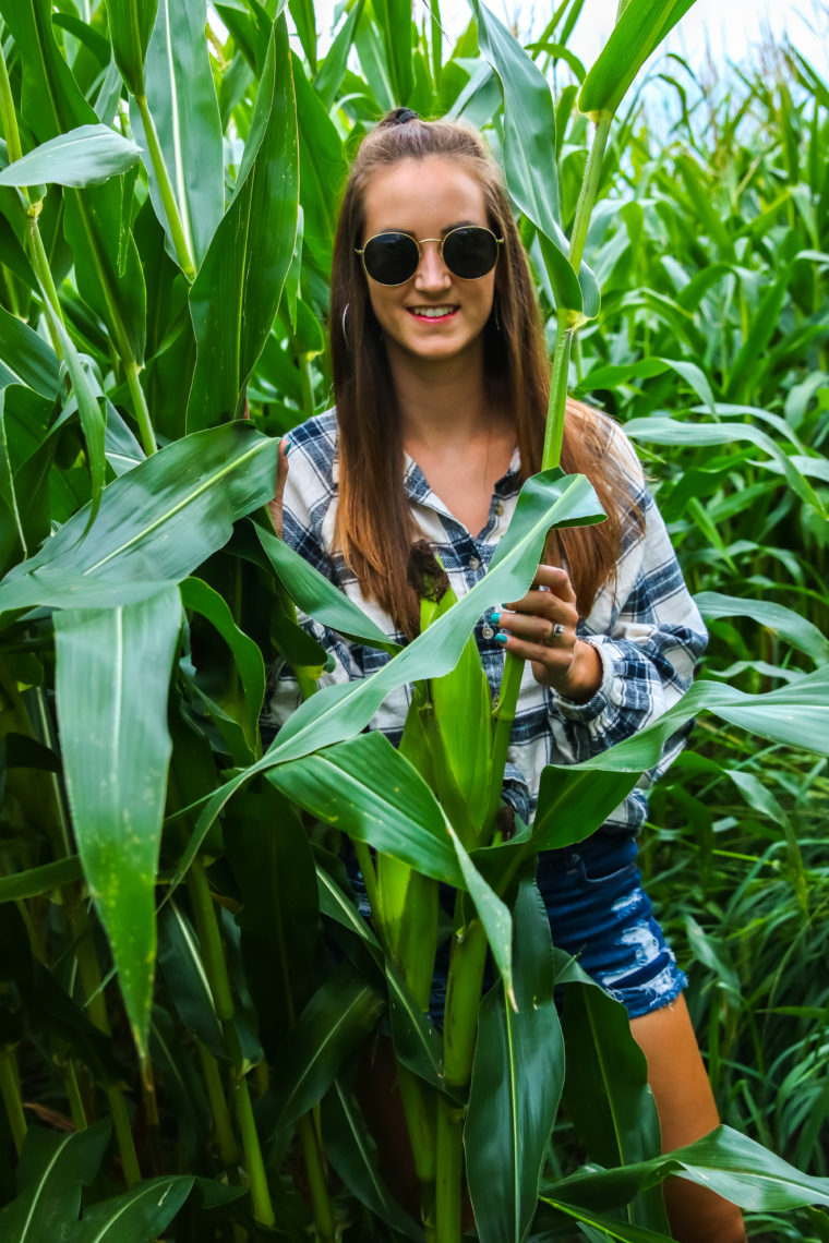 fall style, corn field, round sunglasses