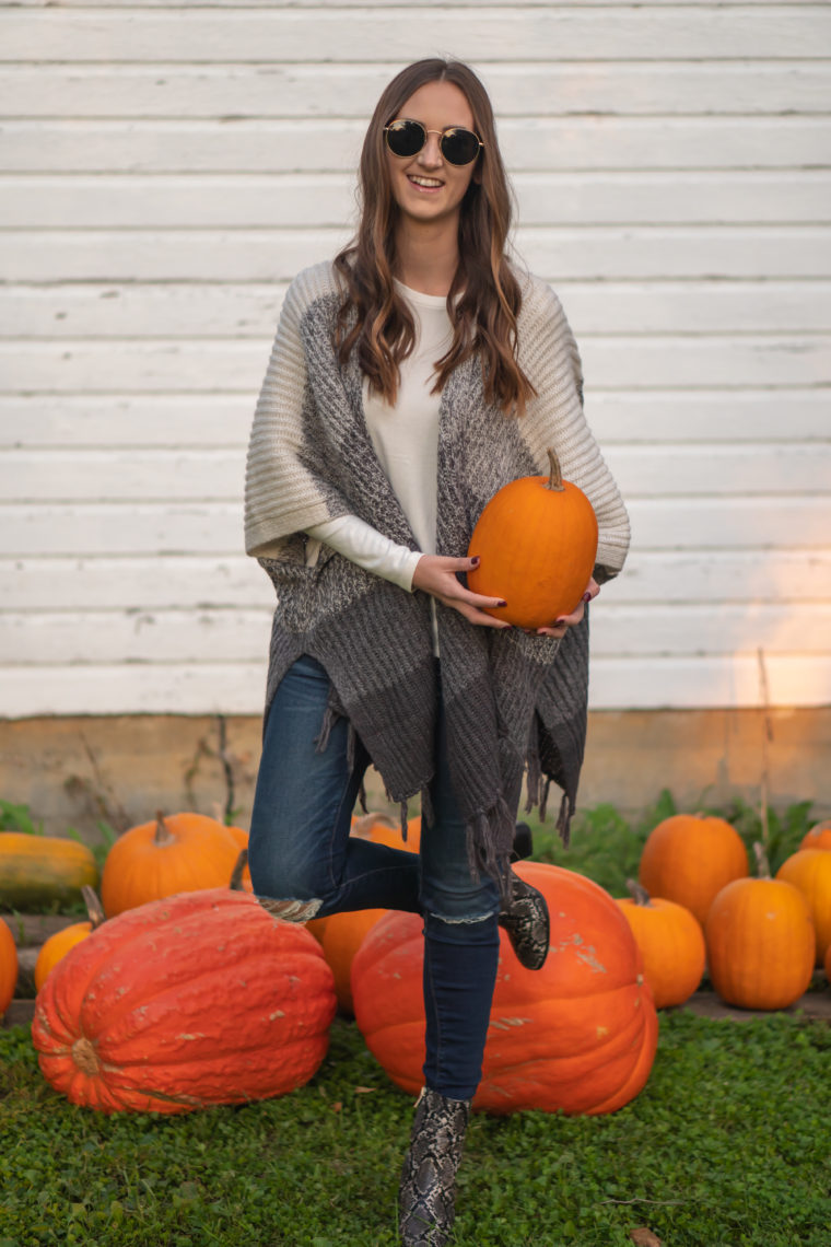 round sunglasses, snakeskin booties, fall style