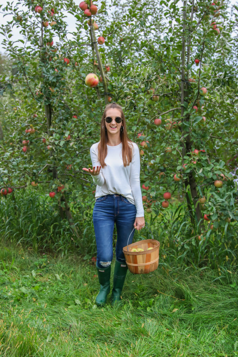 apples, apple orchard, Hunter boots, fall style