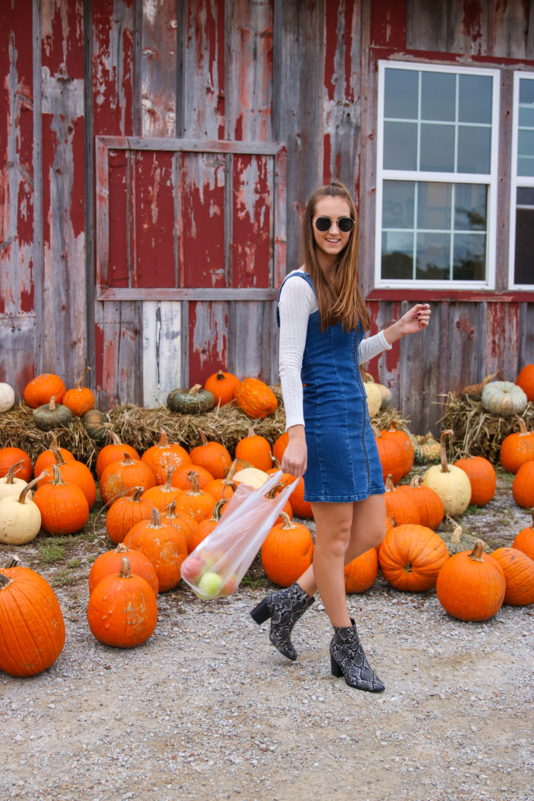 overall dress, denim dress, apple orchard