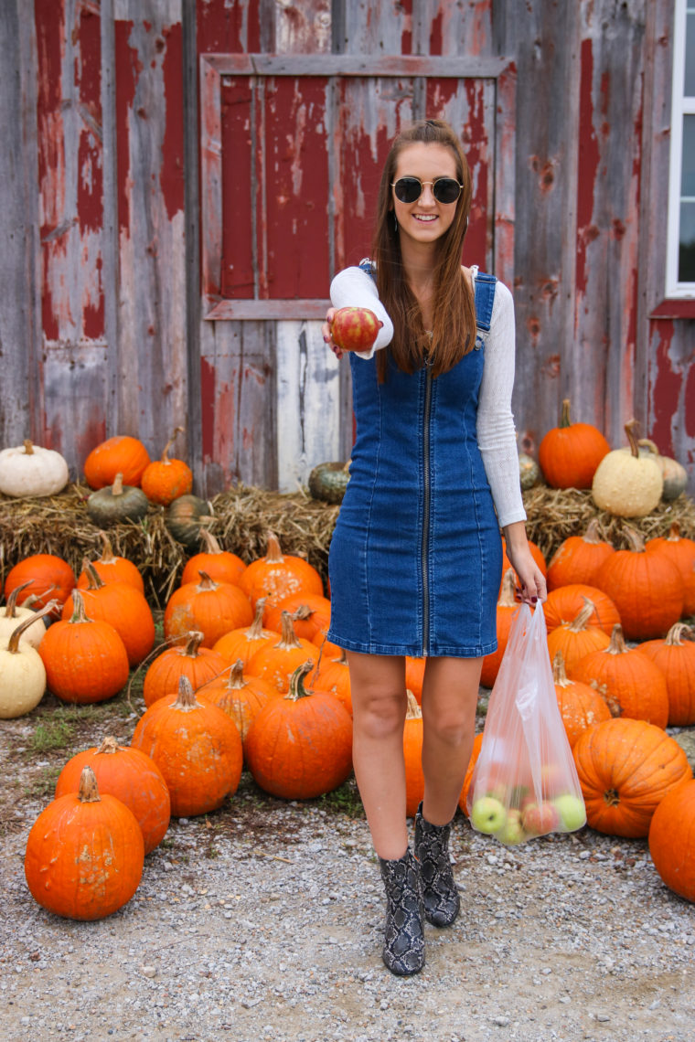 overall dress, apple orchard, fall style