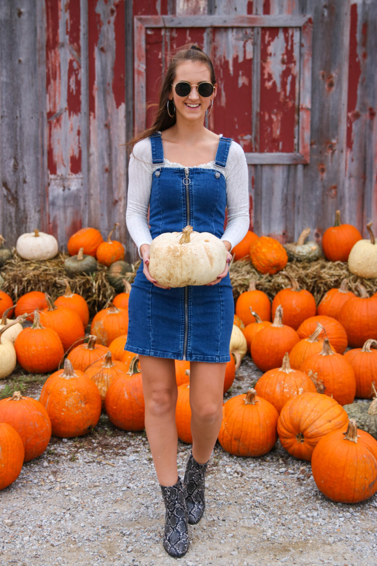 denim dress, white pumpkin, apple orchard