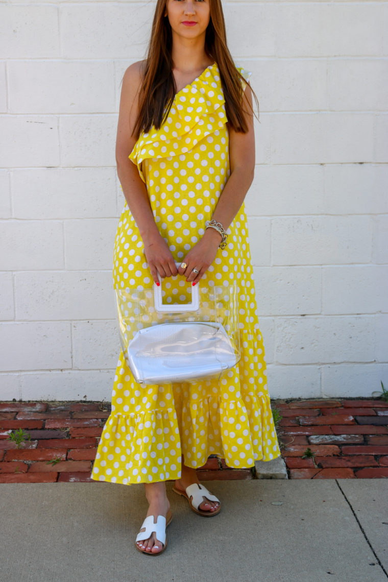 spring dress, picnic dress, clear bag 