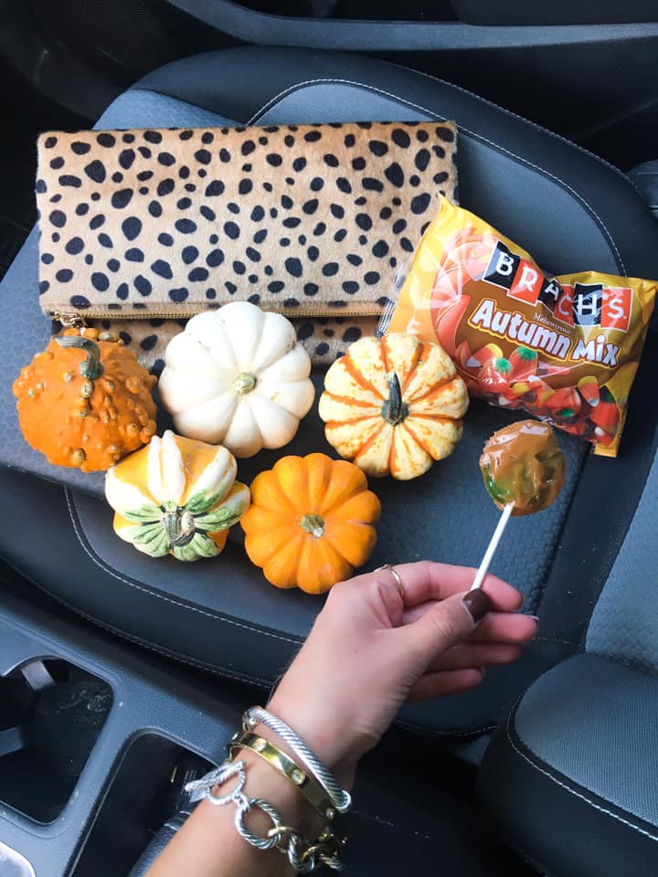 leopard print clutch, candy corn, mini pumpkins