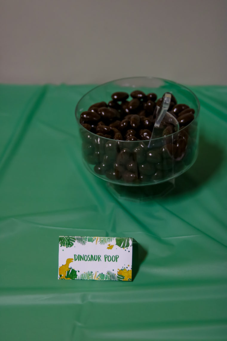 dinosaur poop, chocolate covered nuts