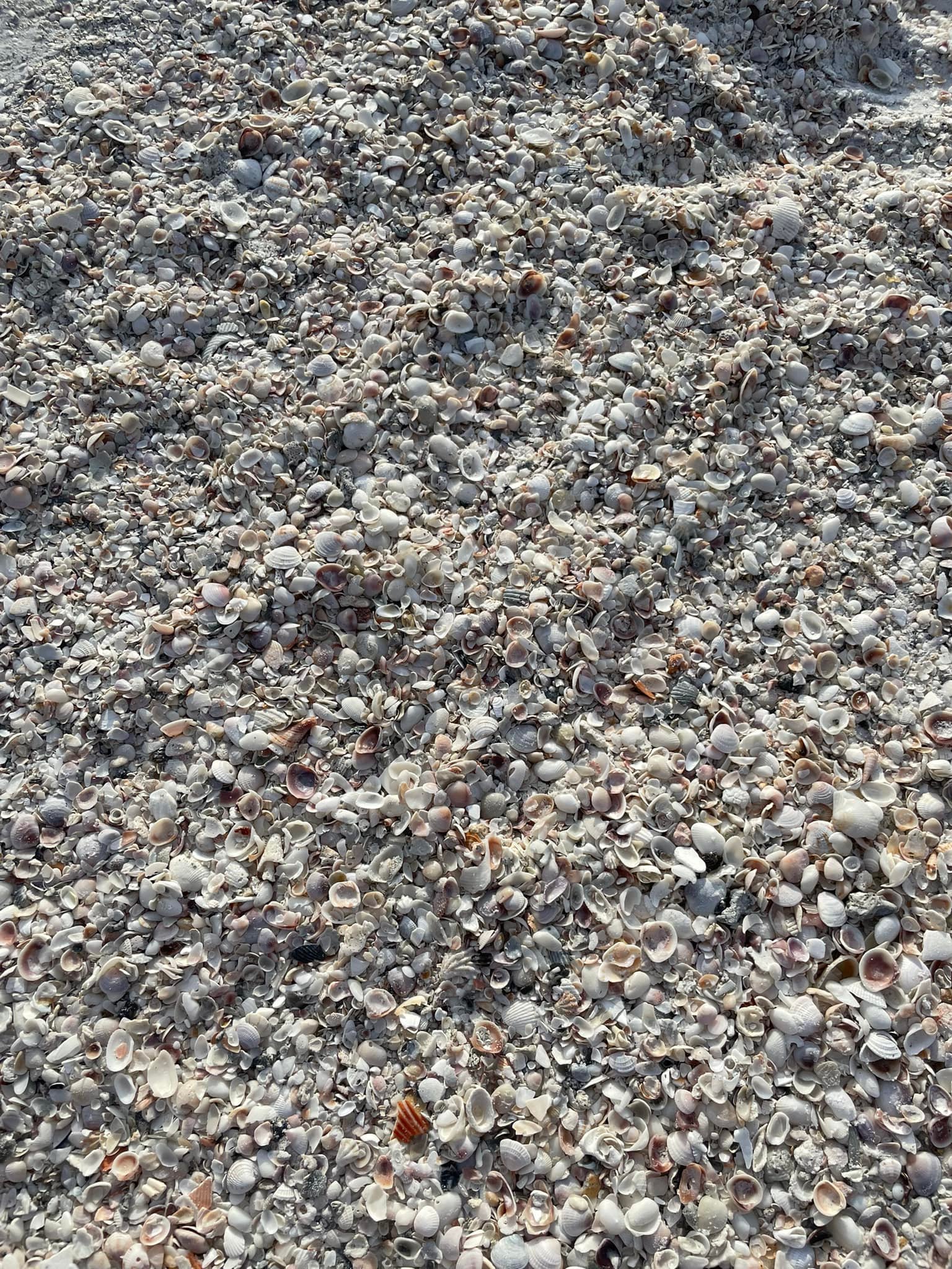 Sarasota & Siesta Key Travel Guide - For The Love Of Glitter