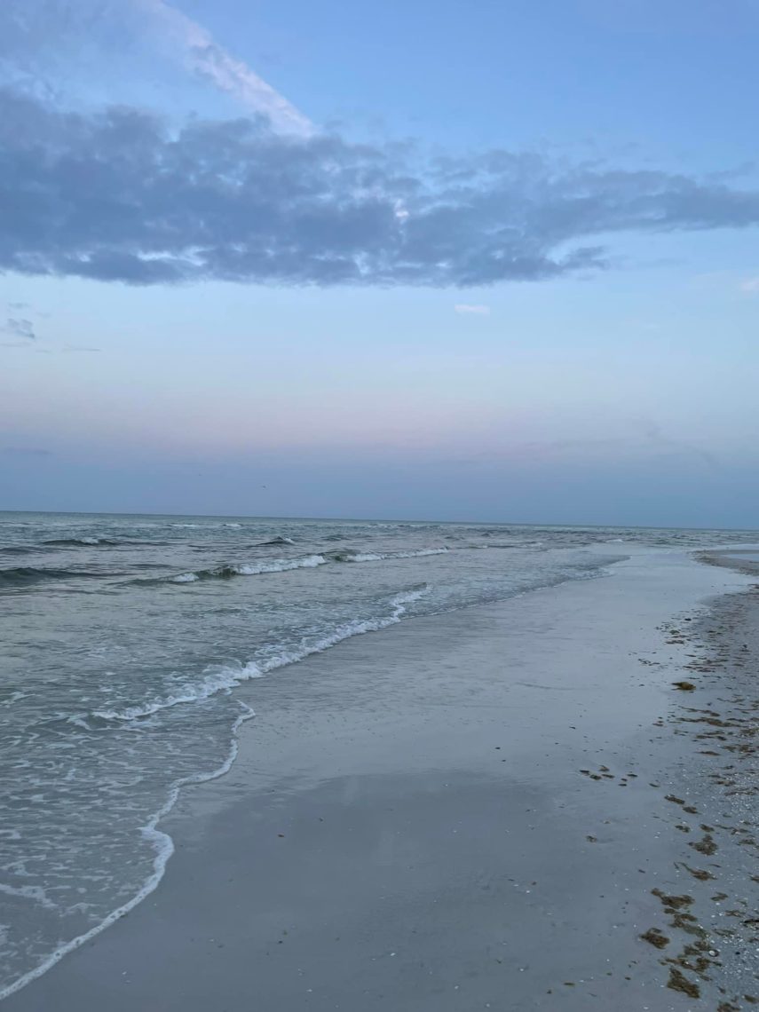 Sarasota & Siesta Key Travel Guide