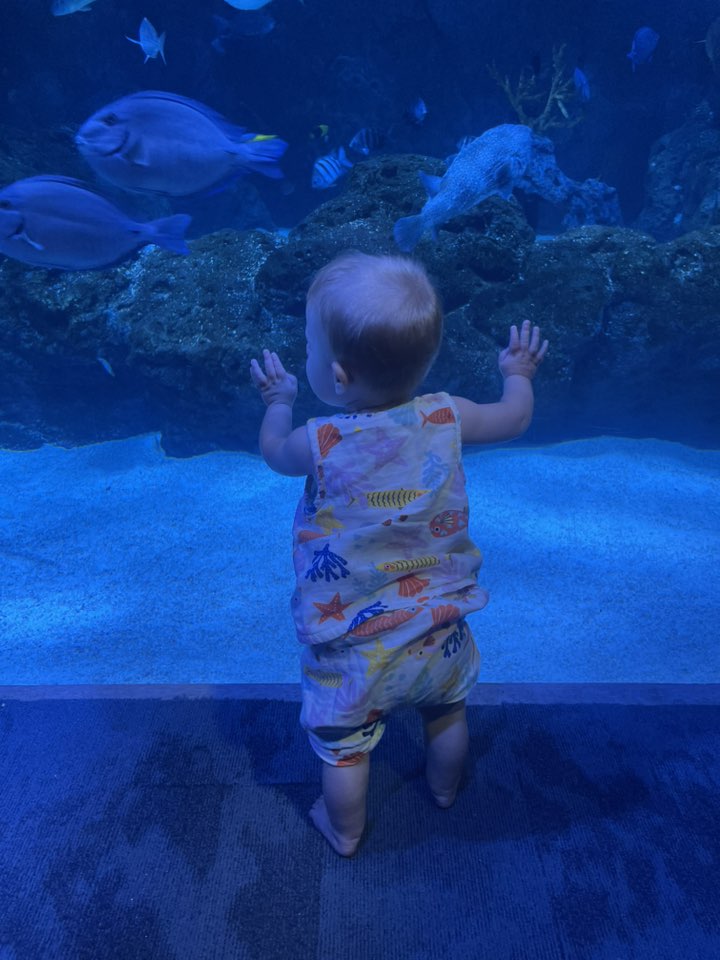 Baby girl looking at fish at the aquarium.