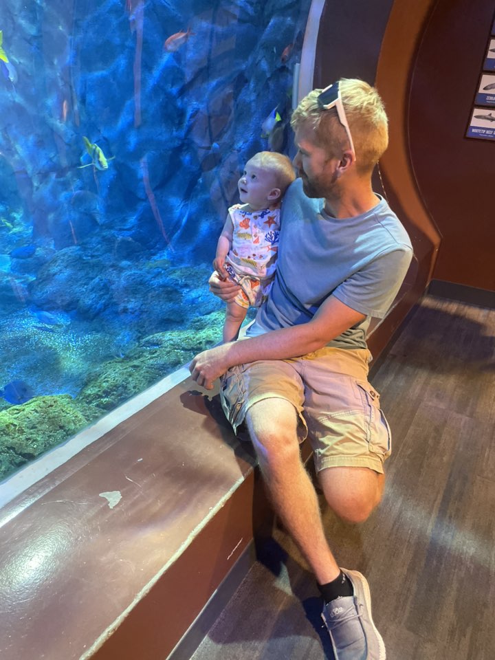 Baby girl and dad looking at large fish at the aquarium.