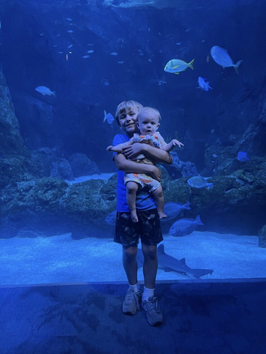 Big brother holding baby sister at the St Louis Aquarium. 
