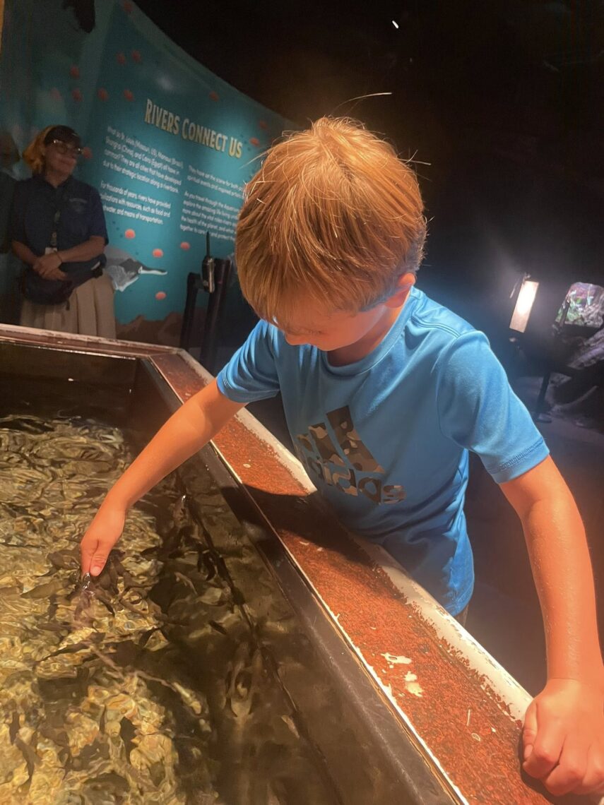 Boy touching "doctor fish."