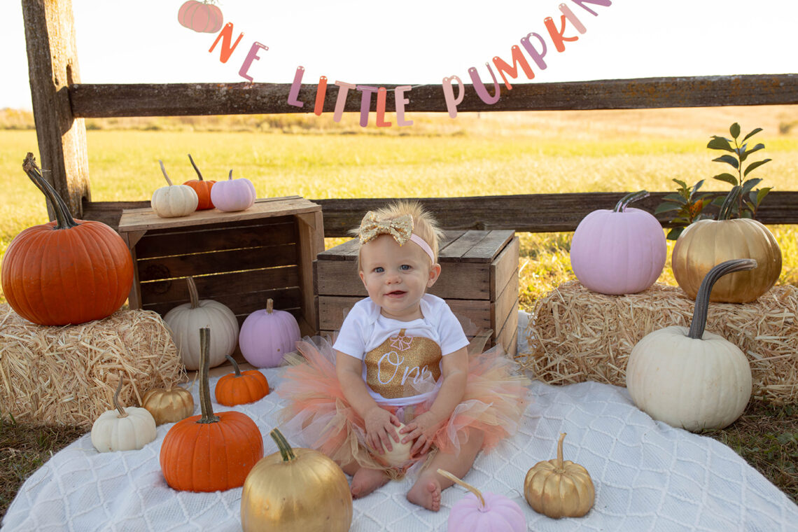 first birthday photoshoot theme