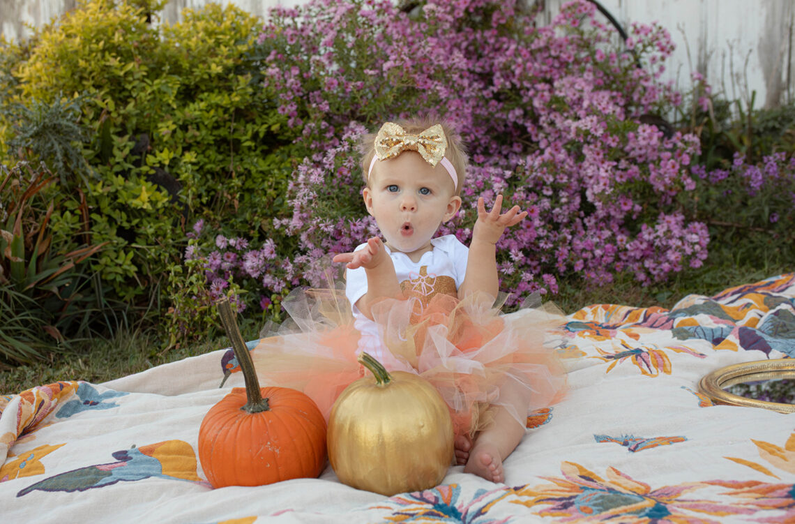 pumpkin photo shoot