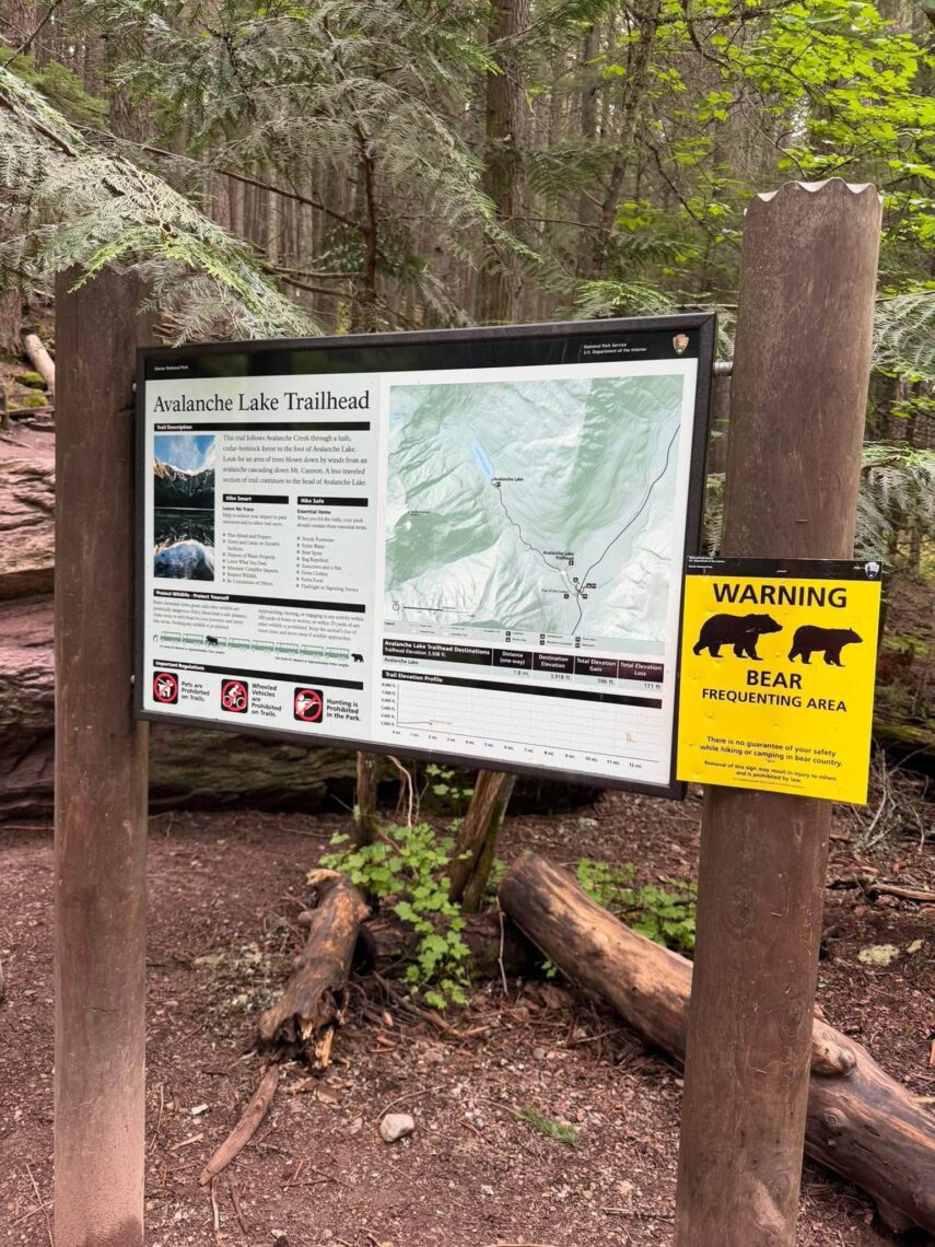 Avalanche Lake Trailhead