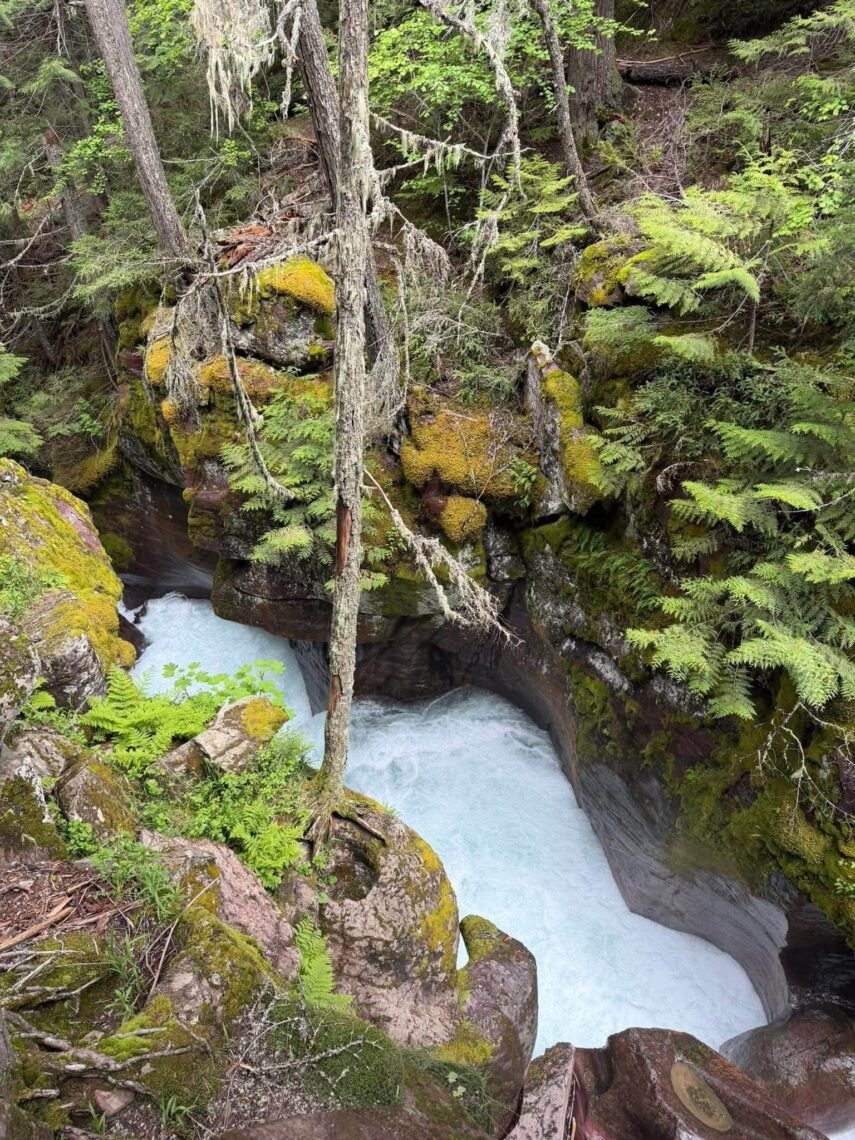 Avalanche creek 
