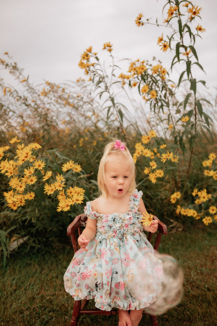 toddler girl birthday photo session