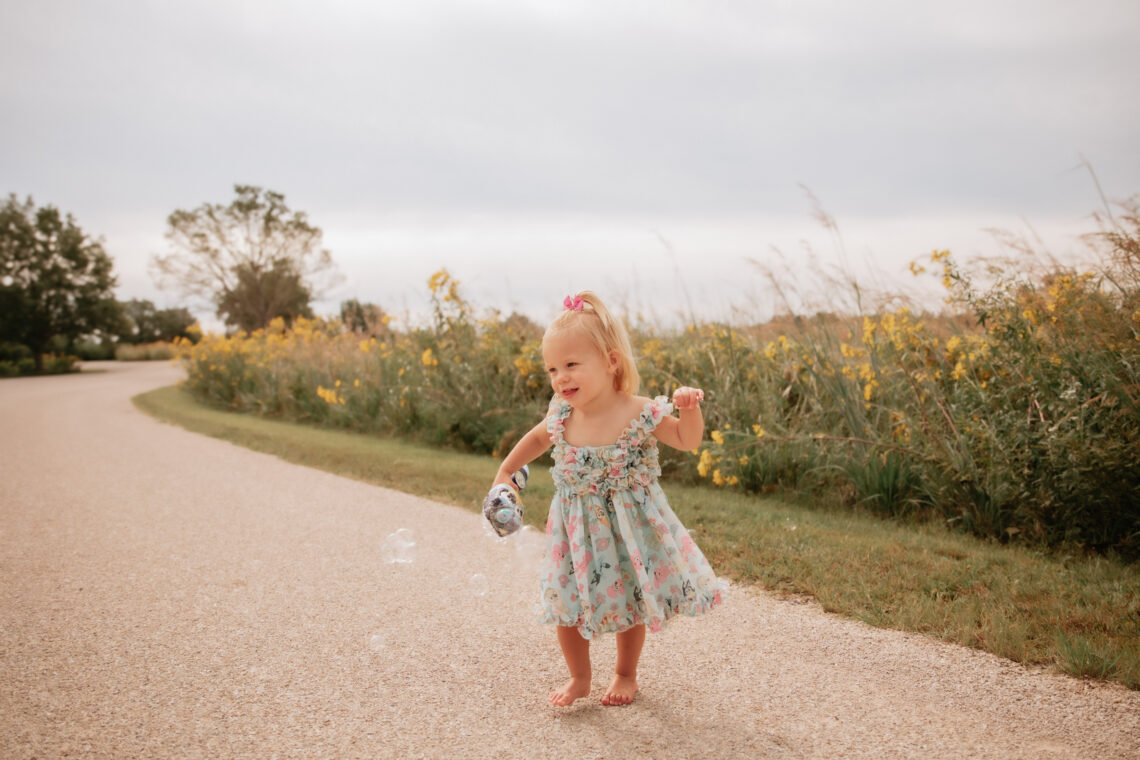 toddler girl birthday photo session